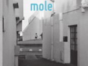 mole-2